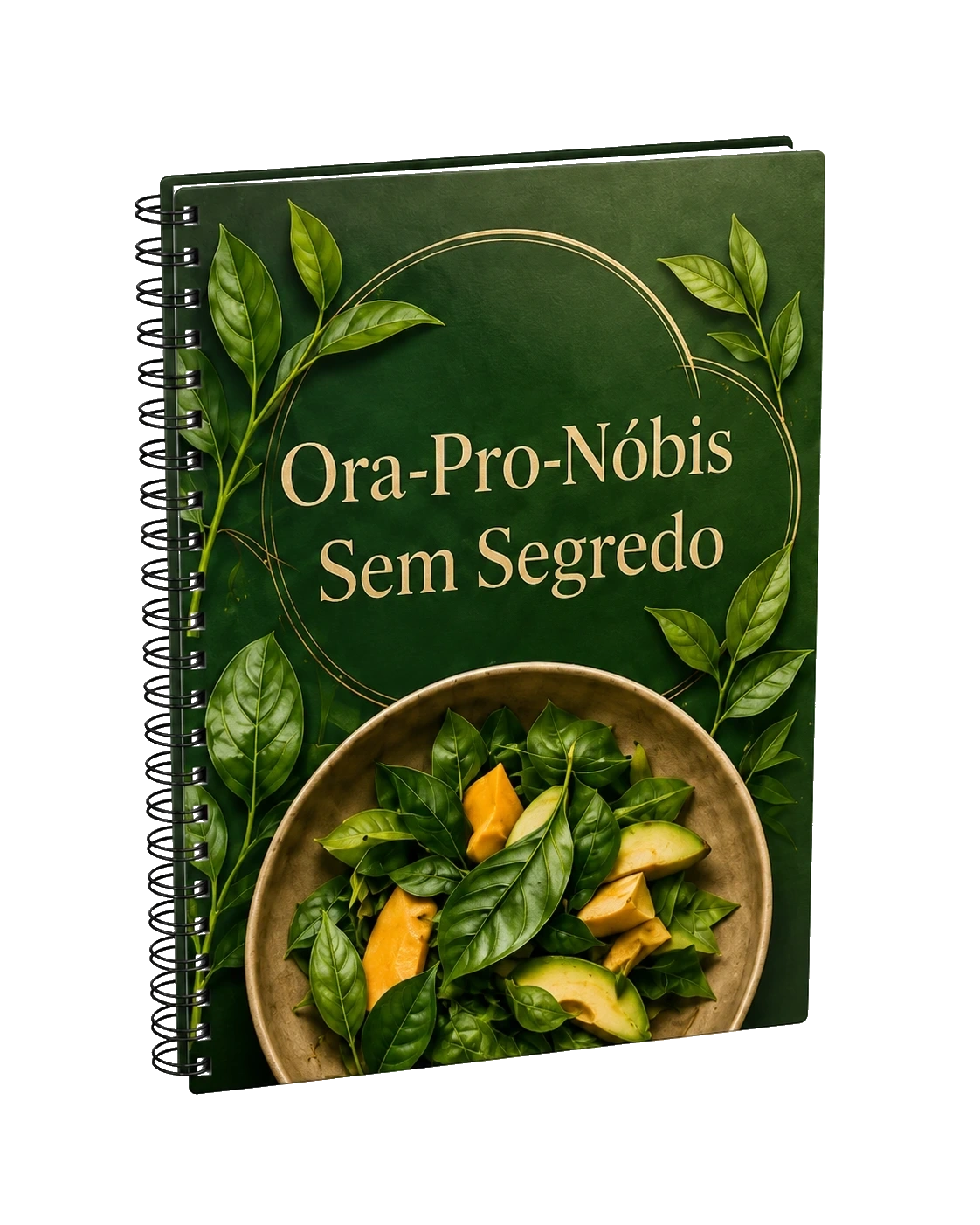 Ora-Pro-Nóbis Sem Segredo